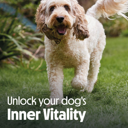Tails.com Inner Vitality • Wet Dog Food 11 x 150g • Sensitive Chicken & Cod • Adult 1-7 years • Grain Free Recipe • Made with natural ingredients • Contains Omega 3 to Support Skin and Coat - Sayby’s