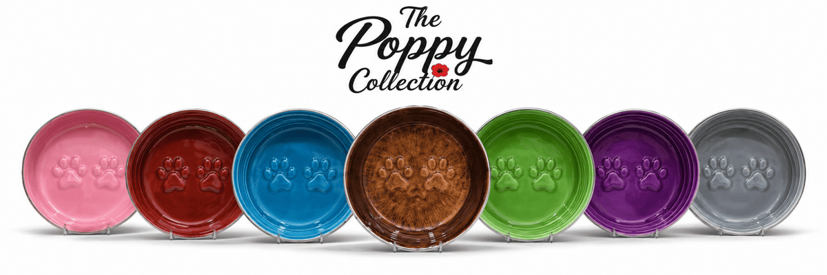 The Poppy Collection Dog Bowl - Blue - Sayby’s