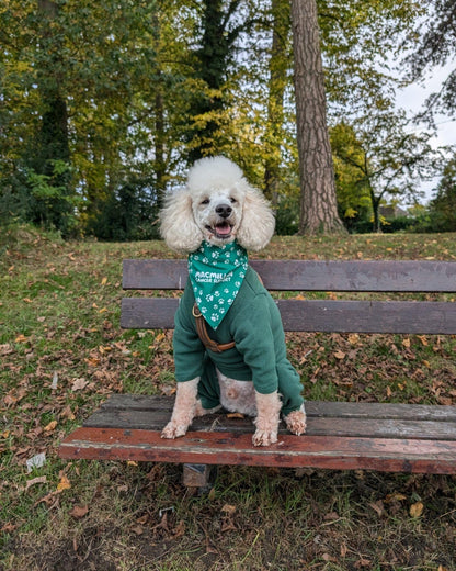 Warm Four-Legged Dog Fleece – Super Soft, Weather-Resistant, Available in a Range of Sizes and Colours - Sayby’s