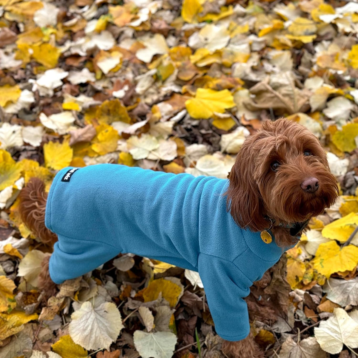 Warm Four-Legged Dog Fleece – Super Soft, Weather-Resistant, Available in a Range of Sizes and Colours - Sayby’s