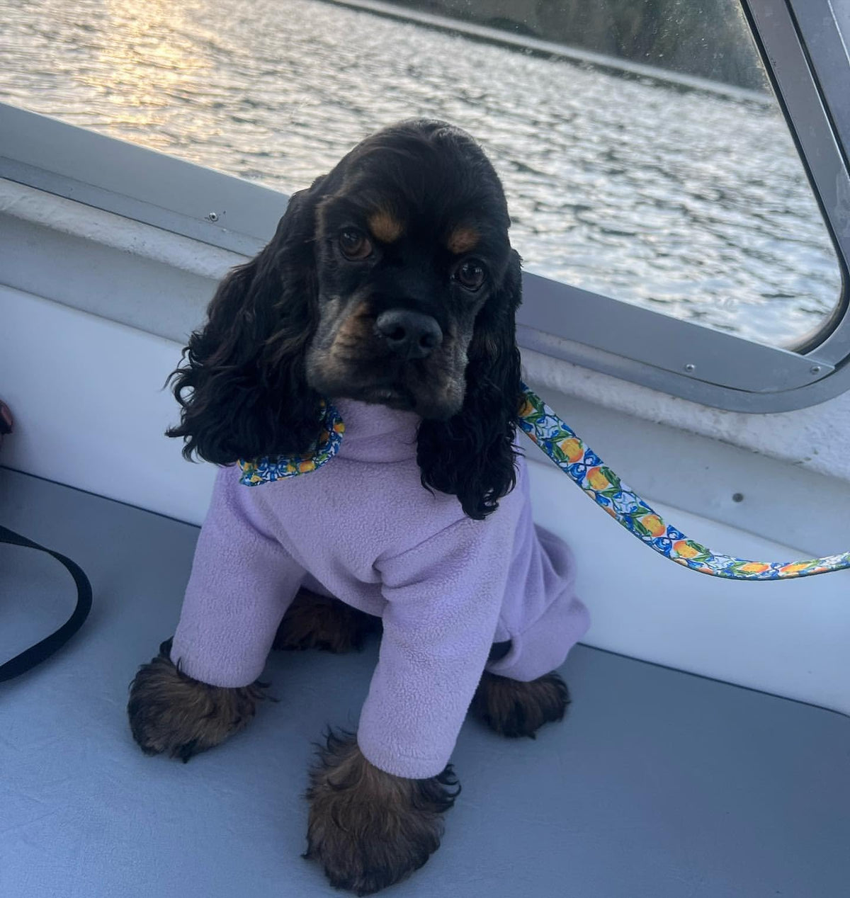 Warm Four-Legged Dog Fleece – Super Soft, Weather-Resistant, Available in a Range of Sizes and Colours - Sayby’s