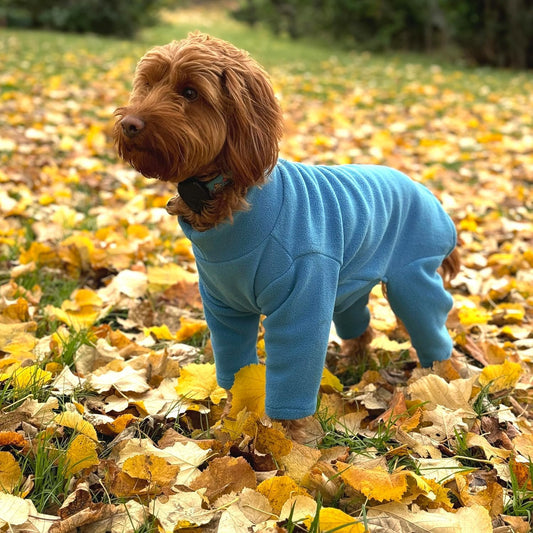 Warm Four-Legged Dog Fleece – Super Soft, Weather-Resistant, Available in a Range of Sizes and Colours - Sayby’s