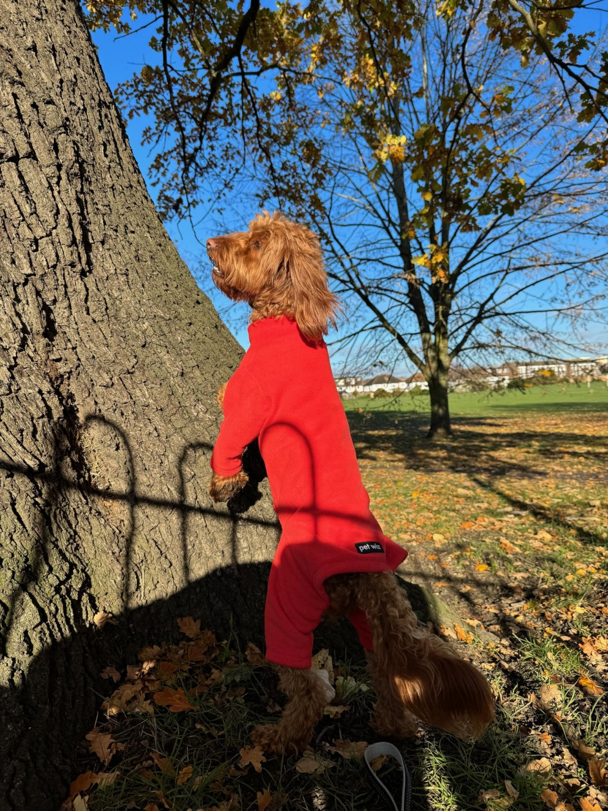 Warm Four-Legged Dog Fleece – Super Soft, Weather-Resistant, Available in a Range of Sizes and Colours - Sayby’s