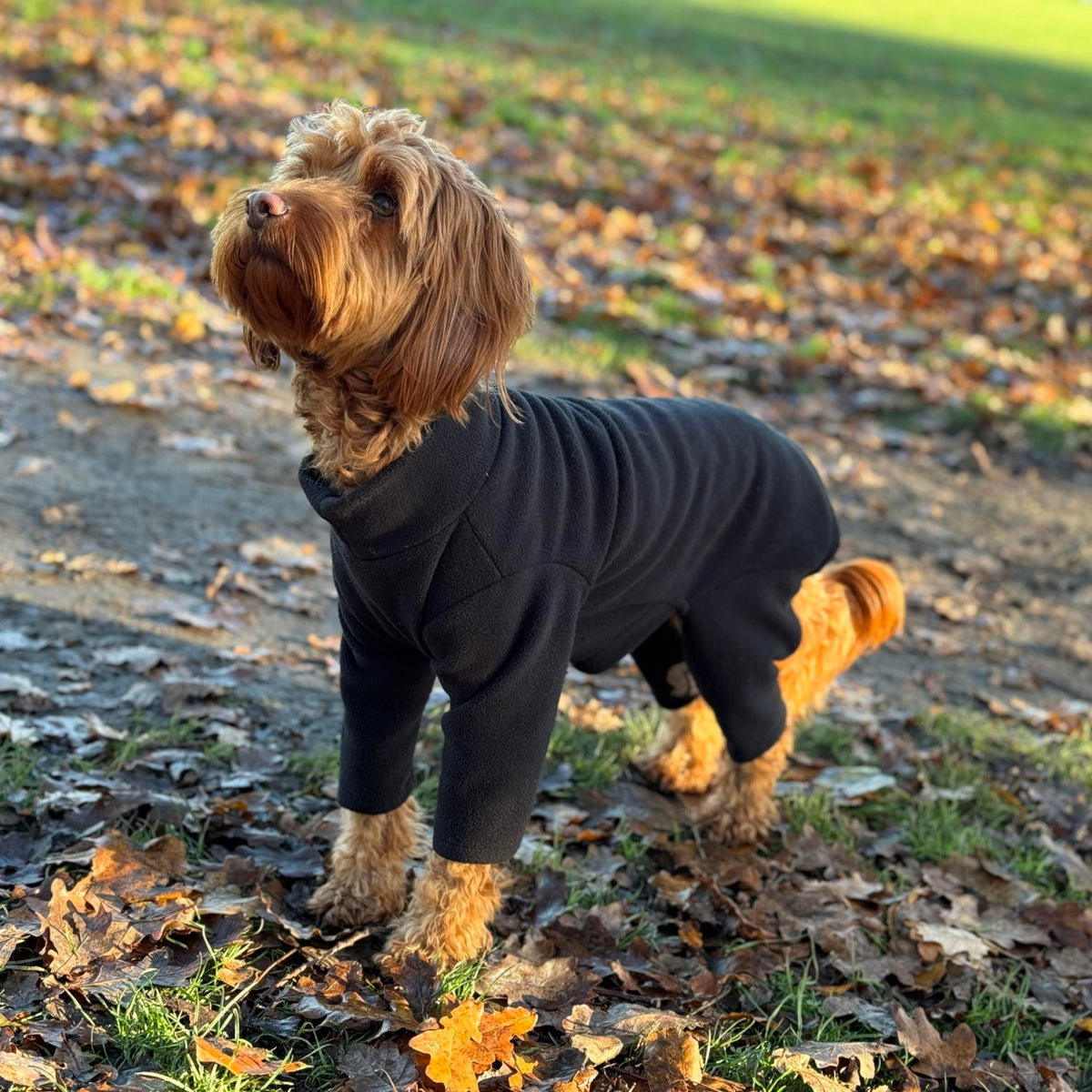 Warm Four-Legged Dog Fleece – Super Soft, Weather-Resistant, Available in a Range of Sizes and Colours - Sayby’s