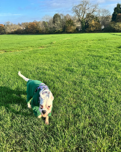 Warm Four-Legged Dog Fleece – Super Soft, Weather-Resistant, Available in a Range of Sizes and Colours - Sayby’s