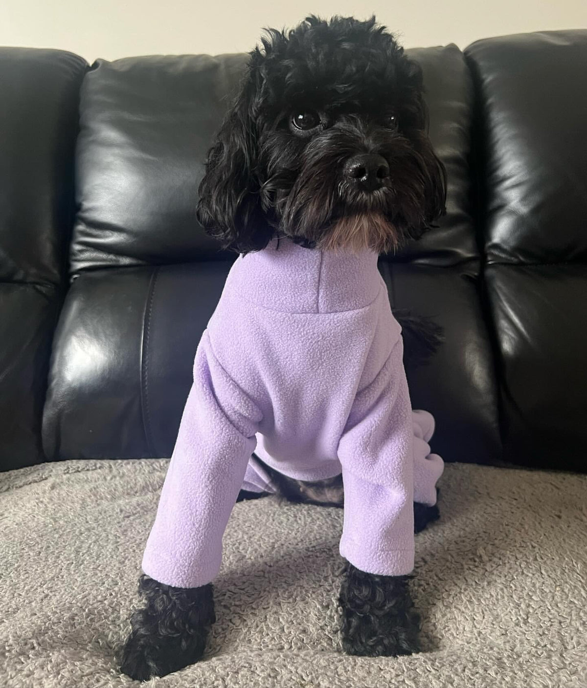 Warm Four-Legged Dog Fleece – Super Soft, Weather-Resistant, Available in a Range of Sizes and Colours - Sayby’s