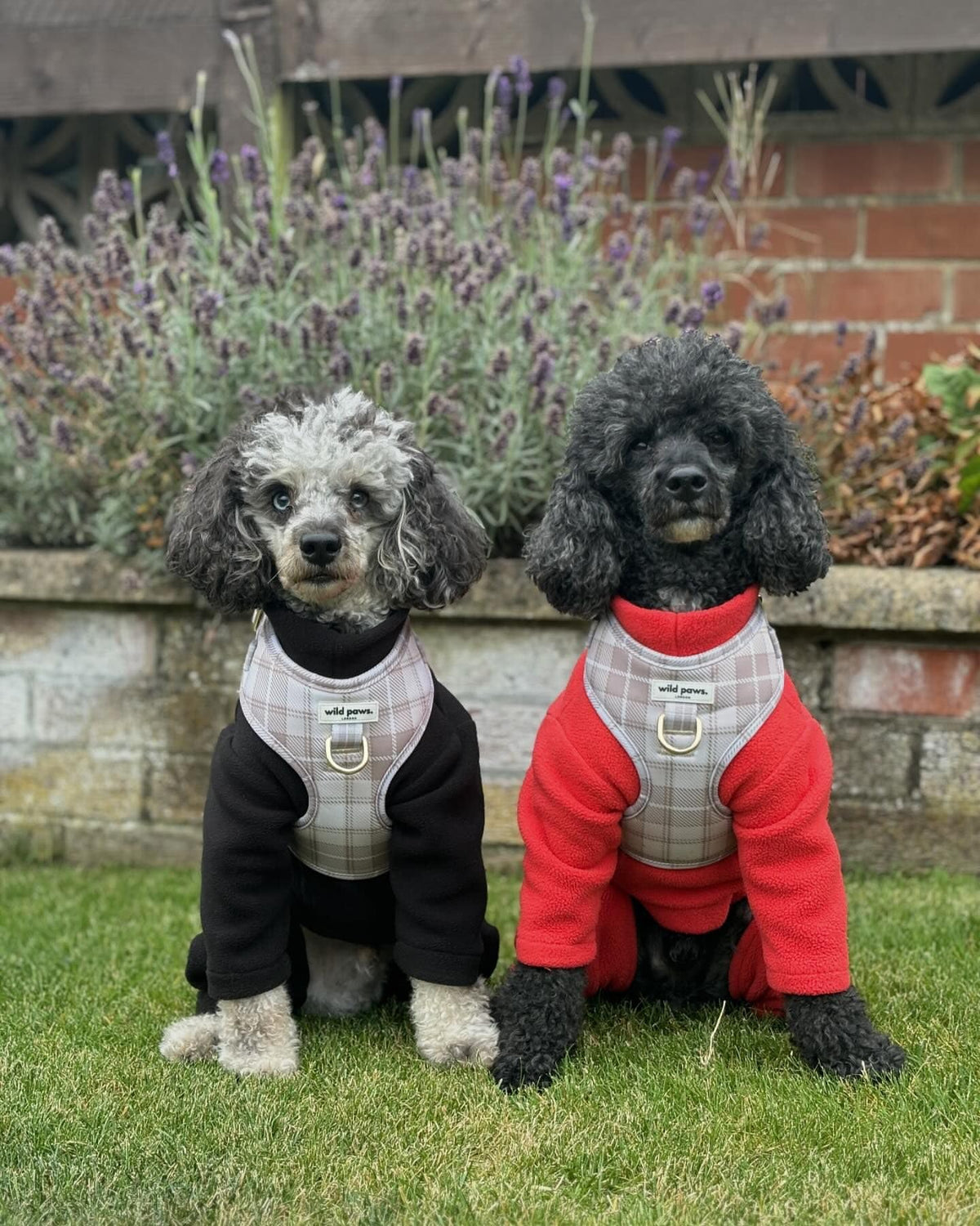 Warm Four-Legged Dog Fleece – Super Soft, Weather-Resistant, Available in a Range of Sizes and Colours - Sayby’s
