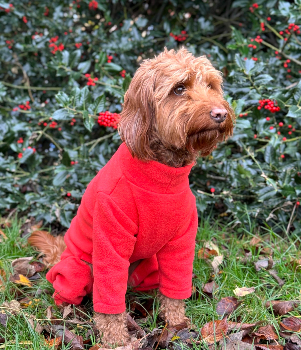 Warm Four-Legged Dog Fleece – Super Soft, Weather-Resistant, Available in a Range of Sizes and Colours - Sayby’s