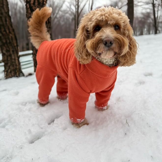 Warm Four-Legged Dog Fleece – Super Soft, Weather-Resistant, Available in a Range of Sizes and Colours - Sayby’s