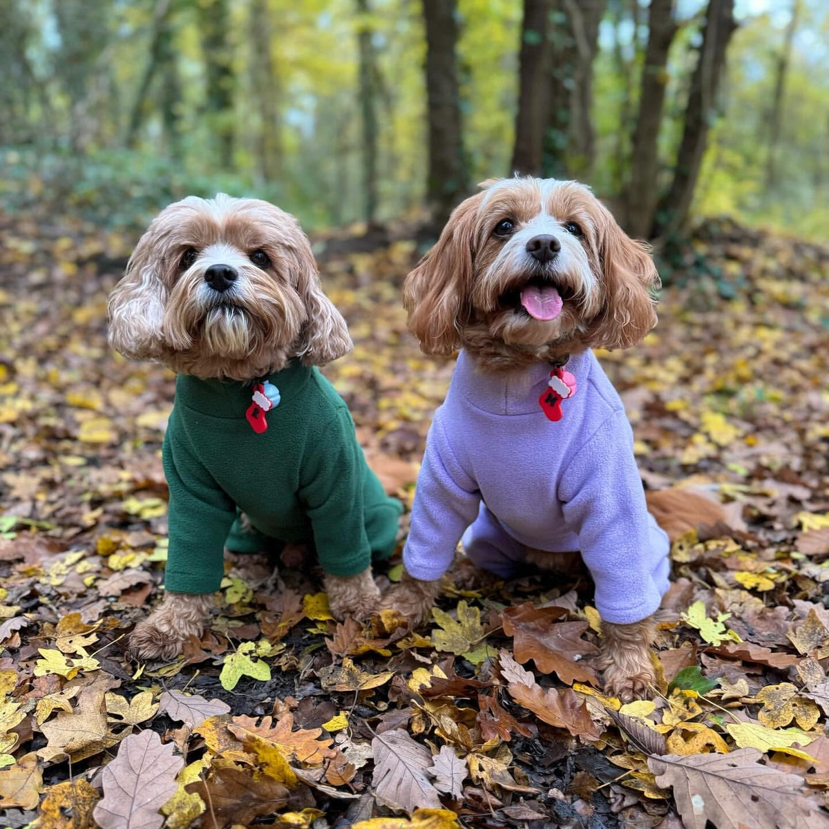 Warm Four-Legged Dog Fleece – Super Soft, Weather-Resistant, Available in a Range of Sizes and Colours - Sayby’s