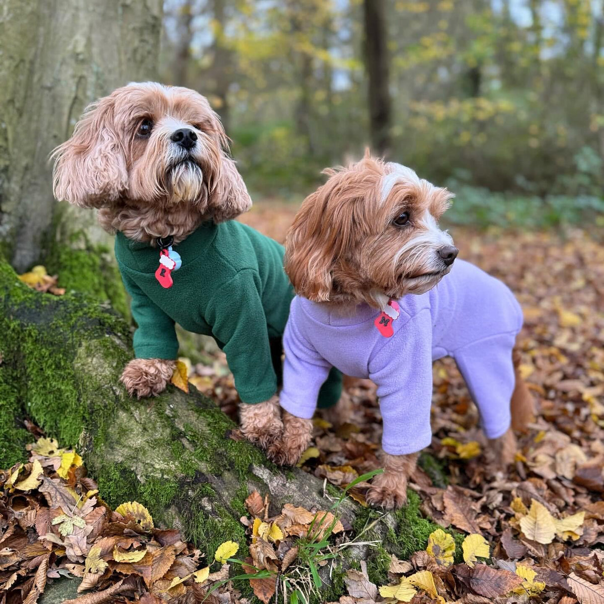 Warm Four-Legged Dog Fleece – Super Soft, Weather-Resistant, Available in a Range of Sizes and Colours - Sayby’s