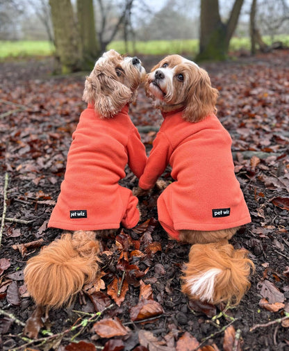 Warm Four-Legged Dog Fleece – Super Soft, Weather-Resistant, Available in a Range of Sizes and Colours - Sayby’s