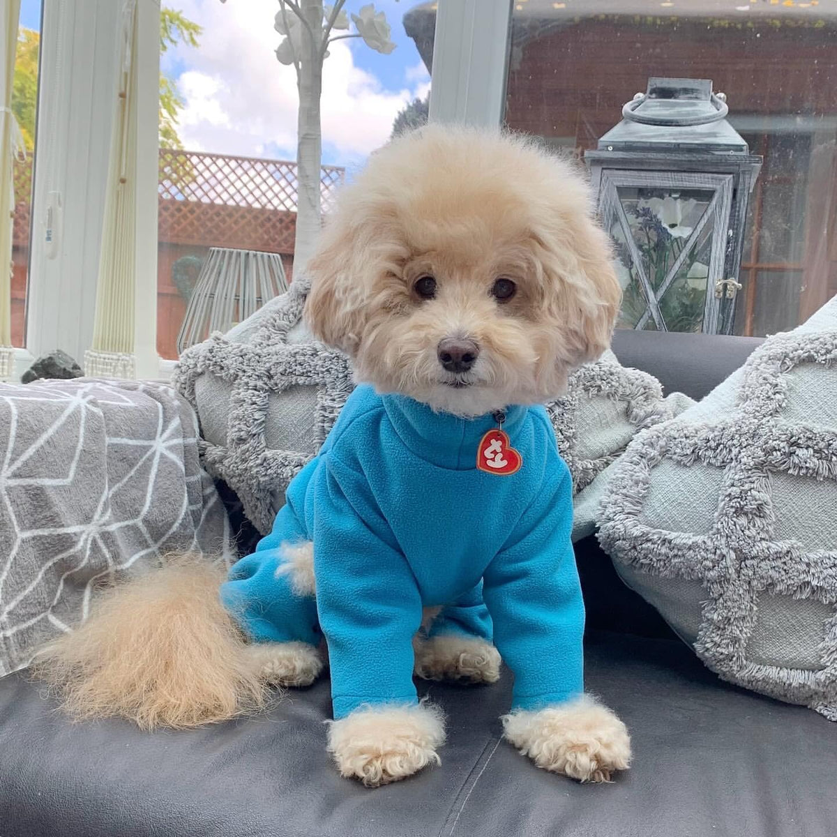Warm Four-Legged Dog Fleece – Super Soft, Weather-Resistant, Available in a Range of Sizes and Colours - Sayby’s