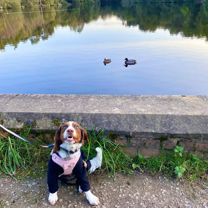 Warm Four-Legged Dog Fleece – Super Soft, Weather-Resistant, Available in a Range of Sizes and Colours - Sayby’s