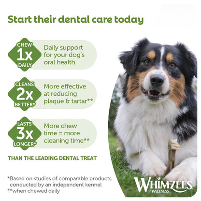 WHIMZEES By Wellness Rice Bone, Dog Dental Sticks, 9 Pieces, Size M/L, Dog Chews for Medium to Large Breeds, Natural, Gluten-Free, Rawhide-Free, Vegetarian - Sayby’s