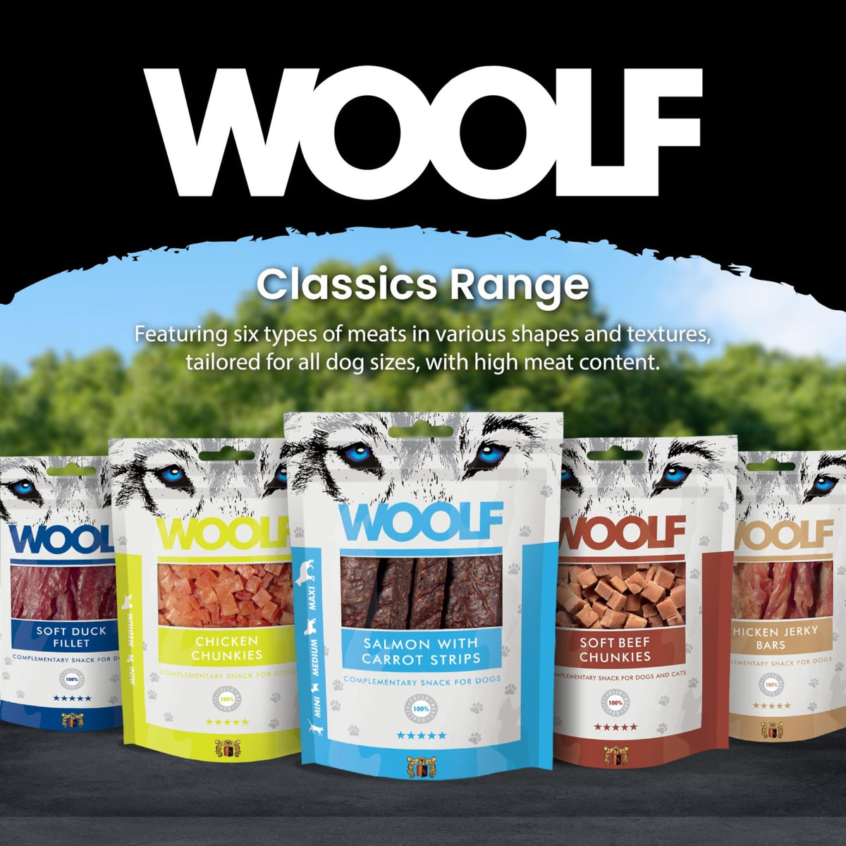 WOOLF Soft Duck Fillet Dog Treats - Complementary Snacks for Dogs. All-Natural Ingredients, High Meat Content, Nutritional, Free from Artificial Additives. Suitable for Dogs (100g) - Sayby’s
