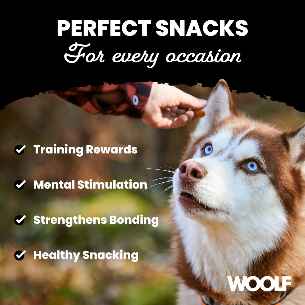 WOOLF Soft Duck Fillet Dog Treats - Complementary Snacks for Dogs. All-Natural Ingredients, High Meat Content, Nutritional, Free from Artificial Additives. Suitable for Dogs (100g) - Sayby’s