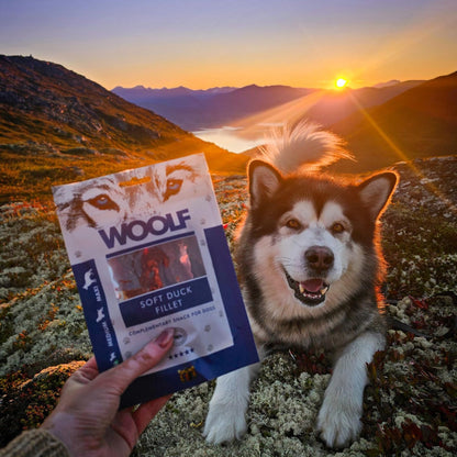 WOOLF Soft Duck Fillet Dog Treats - Complementary Snacks for Dogs. All-Natural Ingredients, High Meat Content, Nutritional, Free from Artificial Additives. Suitable for Dogs (100g) - Sayby’s