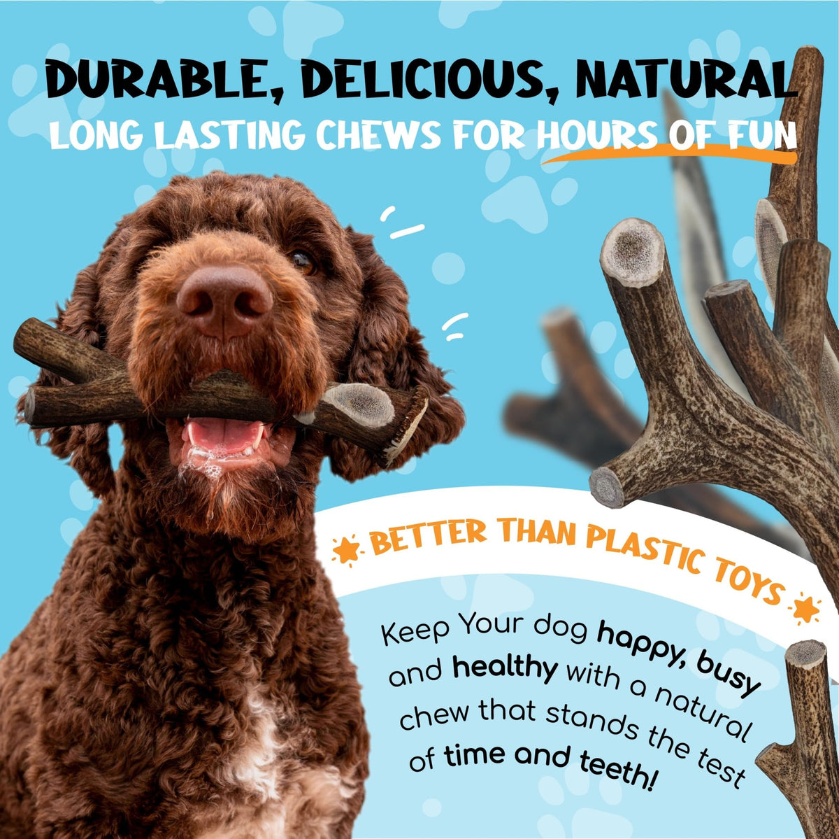XOOMI Red Deer, Whole Antler Chew for Small Dogs (100-120g) - Natural, Long-Lasting Chew for Healthy Teeth & Strong Chewers - Sustainably Sourced in the UK - Sayby’s