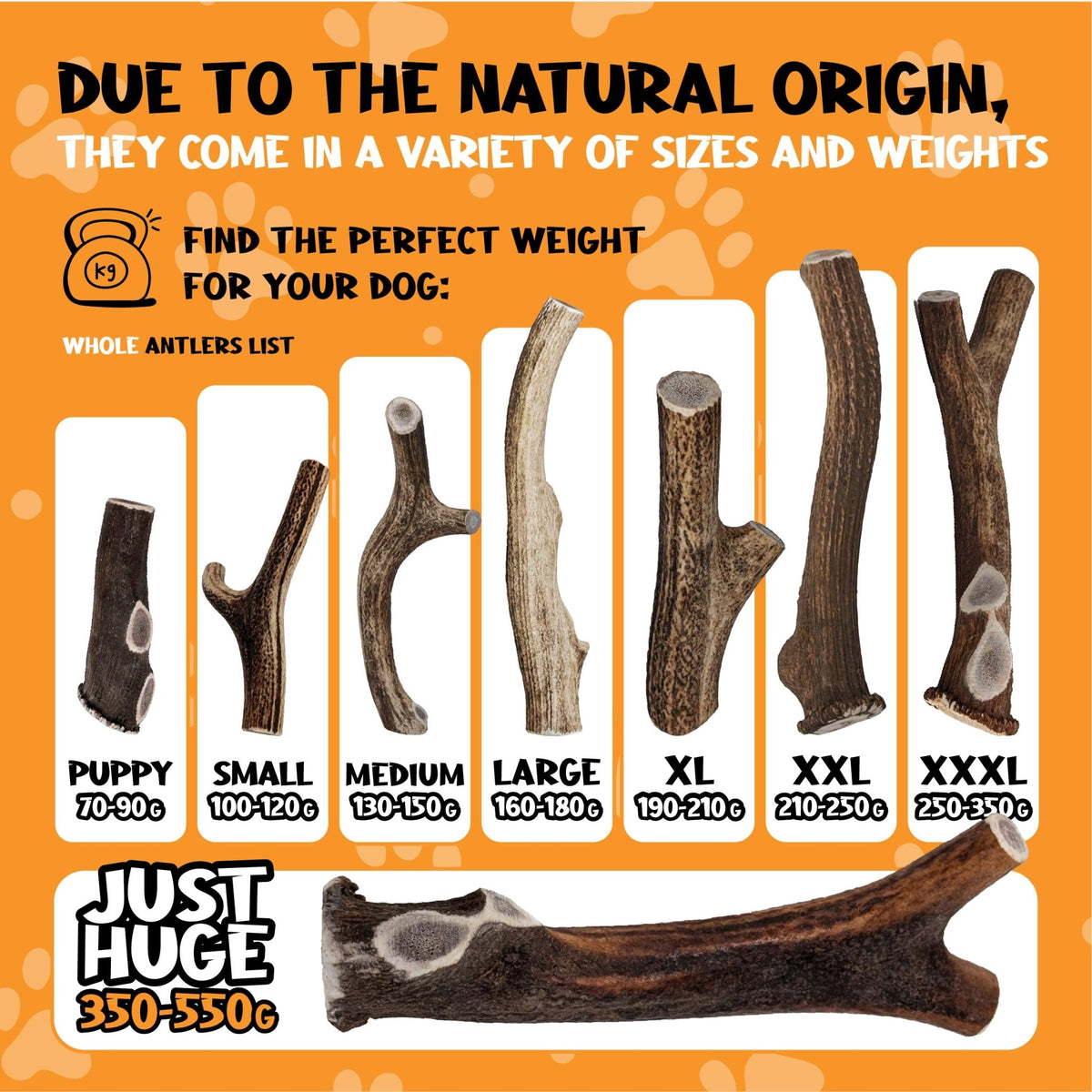 XOOMI Red Deer, Whole Antler Chew for Small Dogs (100-120g) - Natural, Long-Lasting Chew for Healthy Teeth & Strong Chewers - Sustainably Sourced in the UK - Sayby’s