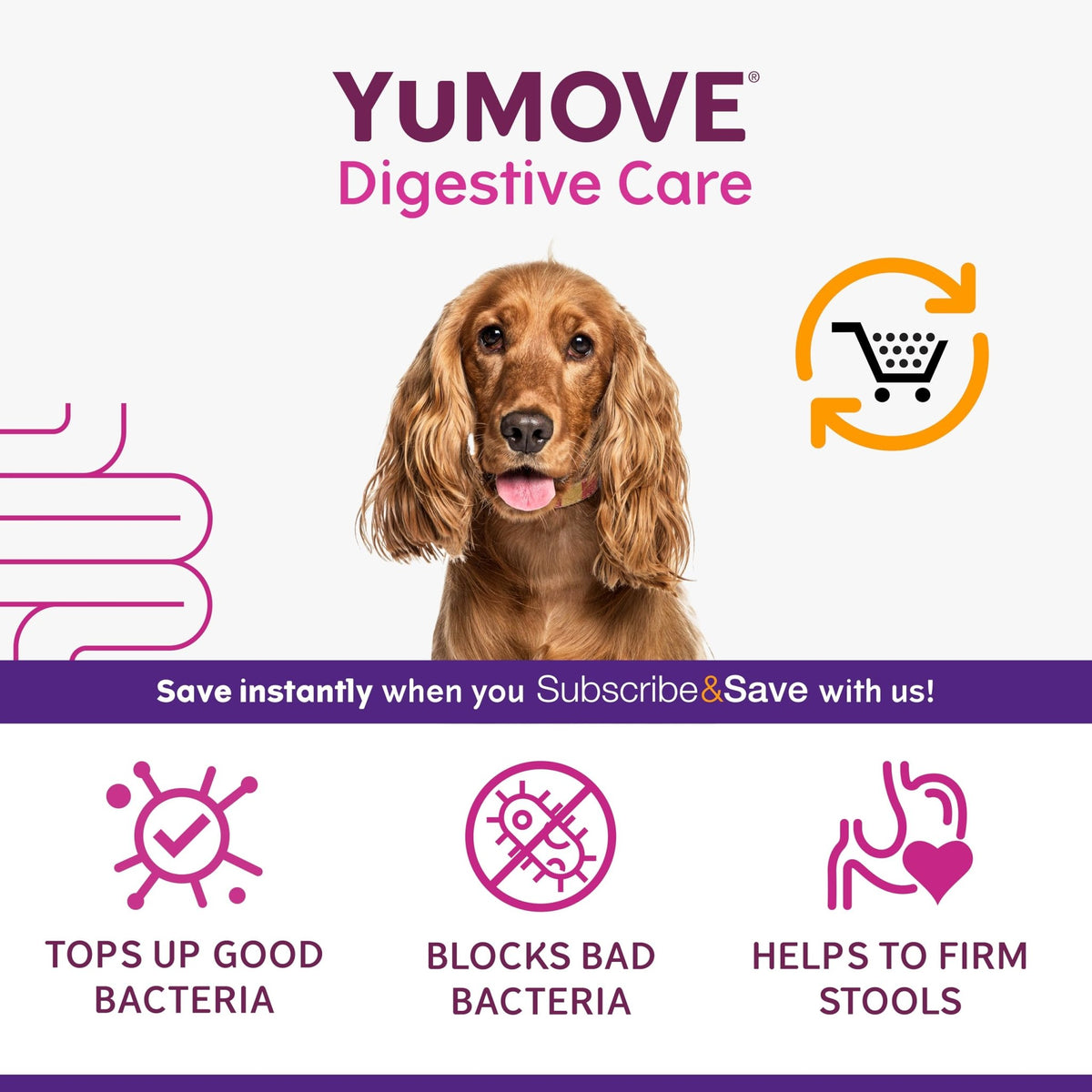 YuMOVE Digestive Care, Dog Pre and Probiotics Supplement for Gut Health, Digestive Support for All Ages and Breeds, 120 Tablets - Eco Friendly and Letter Box Ready Packaging - Sayby’s