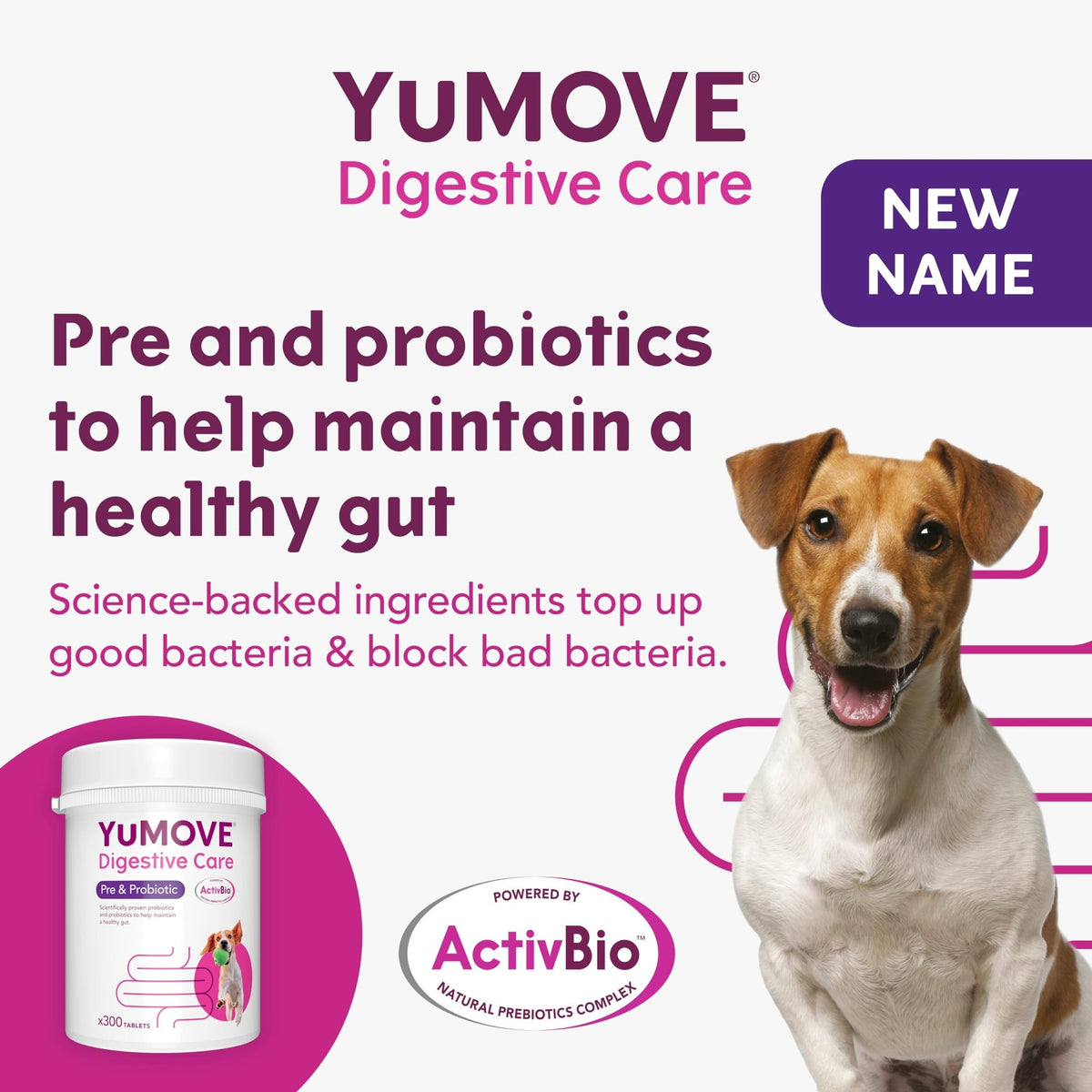 YuMOVE Digestive Care, Dog Pre and Probiotics Supplement for Gut Health, Digestive Support for All Ages and Breeds, 120 Tablets - Eco Friendly and Letter Box Ready Packaging - Sayby’s
