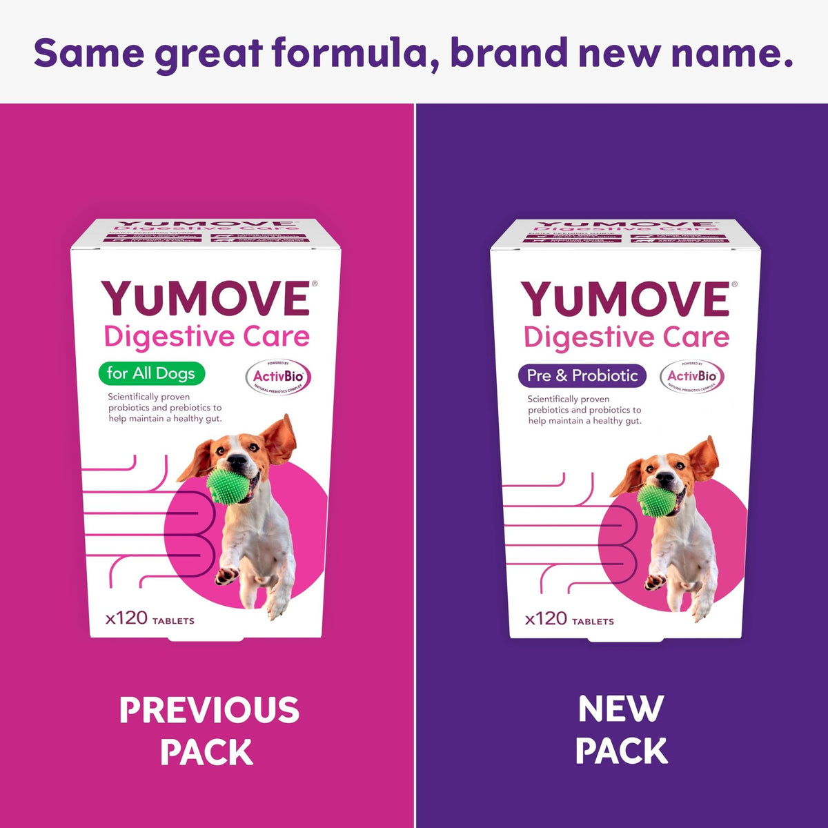 YuMOVE Digestive Care, Dog Pre and Probiotics Supplement for Gut Health, Digestive Support for All Ages and Breeds, 120 Tablets - Eco Friendly and Letter Box Ready Packaging - Sayby’s