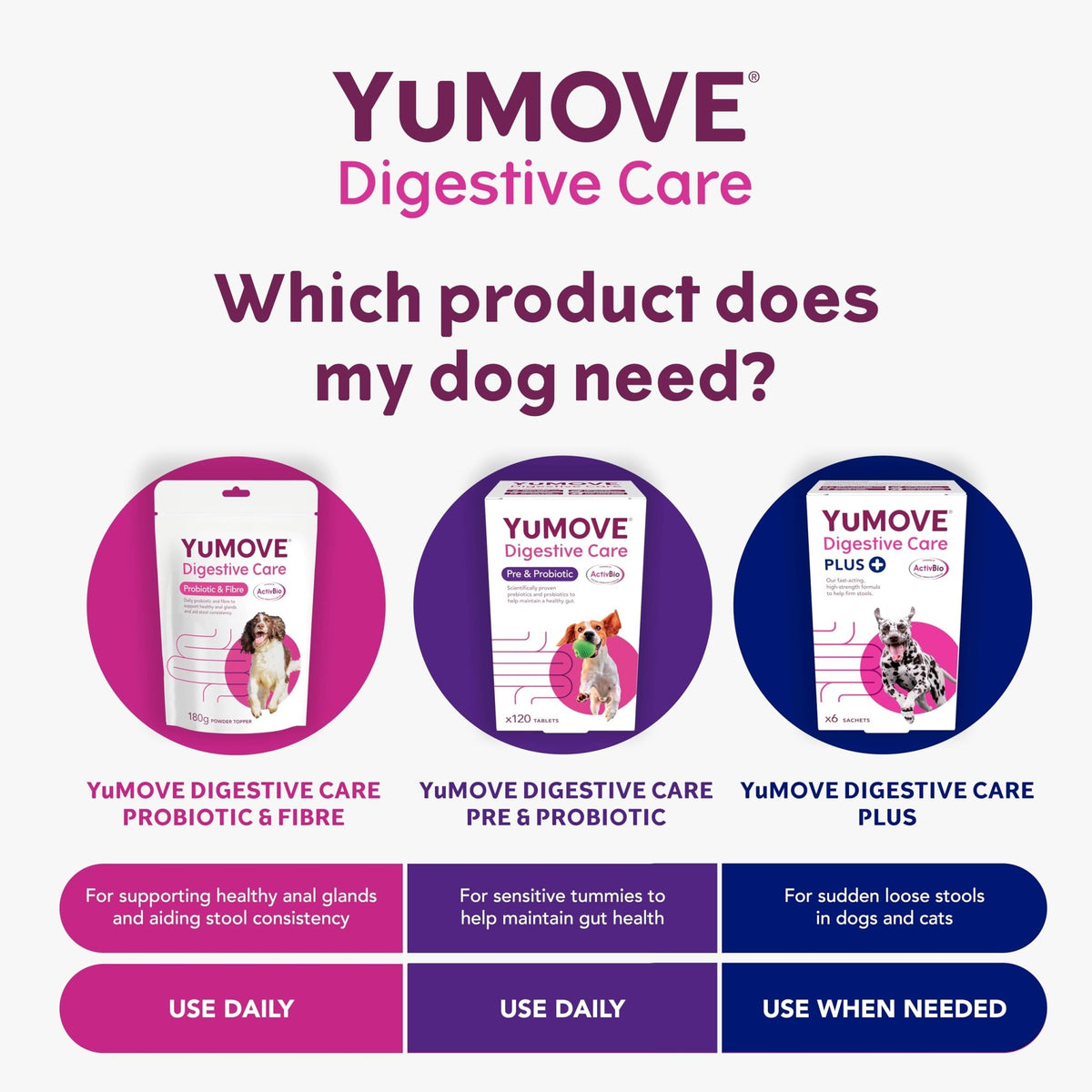 YuMOVE Digestive Care, Dog Pre and Probiotics Supplement for Gut Health, Digestive Support for All Ages and Breeds, 120 Tablets - Eco Friendly and Letter Box Ready Packaging - Sayby’s