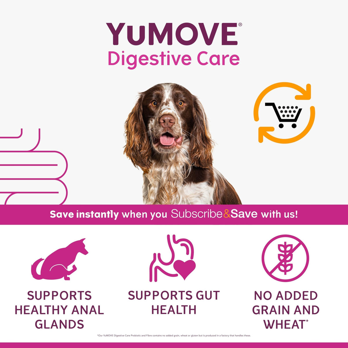 YuMOVE Digestive Care, Dog Pre and Probiotics Supplement for Gut Health, Digestive Support for All Ages and Breeds, 120 Tablets - Eco Friendly and Letter Box Ready Packaging - Sayby’s