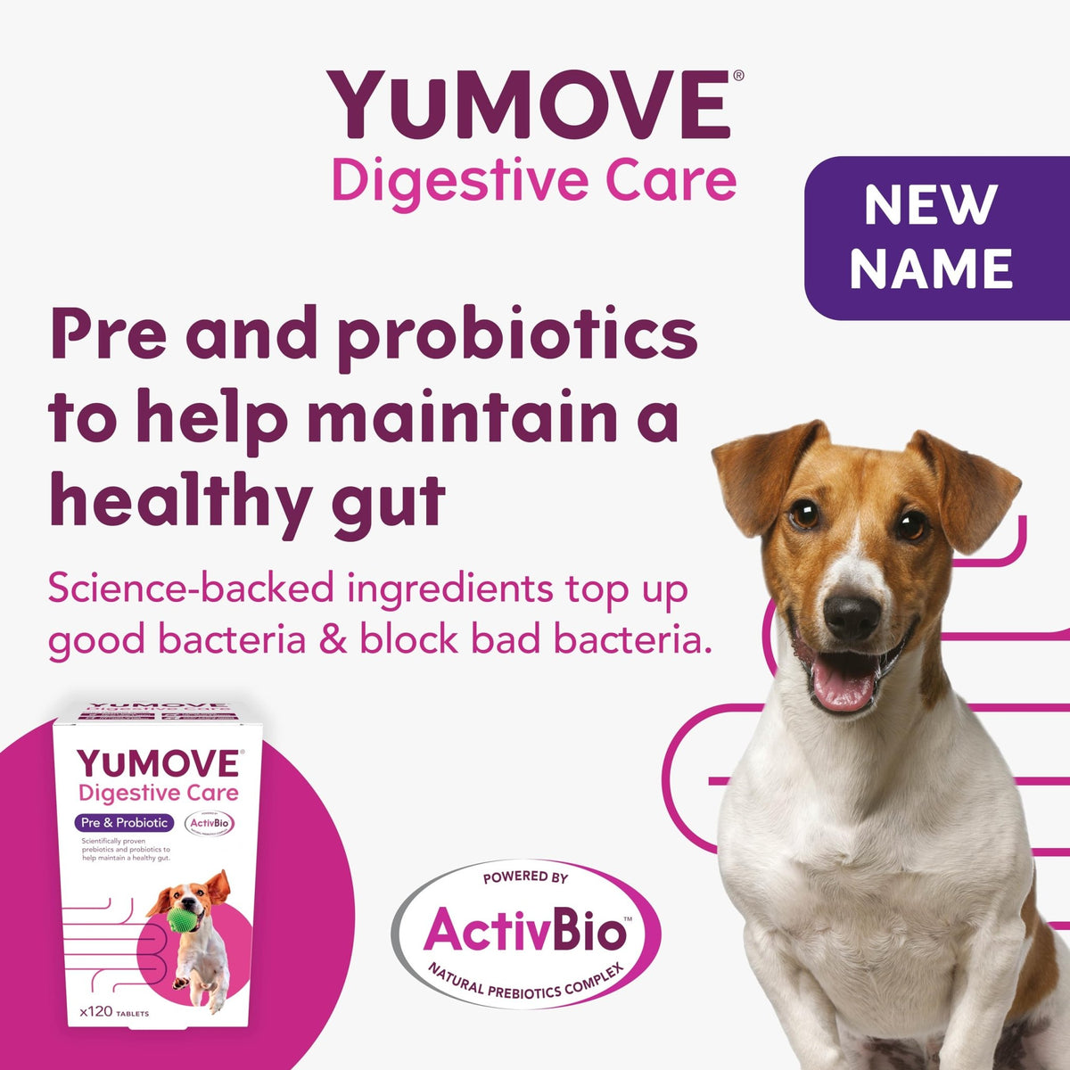 YuMOVE Digestive Care, Dog Pre and Probiotics Supplement for Gut Health, Digestive Support for All Ages and Breeds, 120 Tablets - Eco Friendly and Letter Box Ready Packaging - Sayby’s