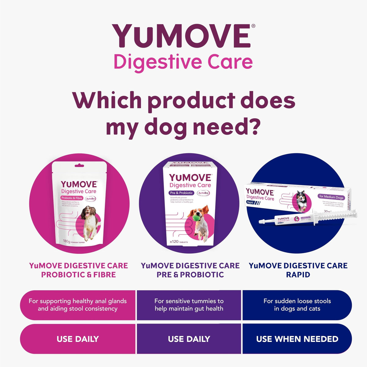 YuMOVE Digestive Care, Dog Pre and Probiotics Supplement for Gut Health, Digestive Support for All Ages and Breeds, 120 Tablets - Eco Friendly and Letter Box Ready Packaging - Sayby’s