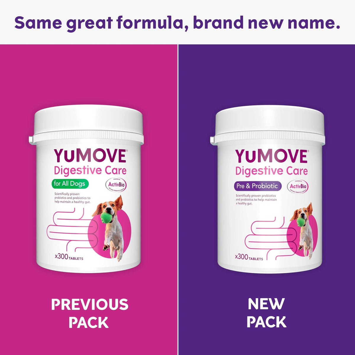 YuMOVE Digestive Care, Dog Pre and Probiotics Supplement for Gut Health, Digestive Support for All Ages and Breeds, 120 Tablets - Eco Friendly and Letter Box Ready Packaging - Sayby’s