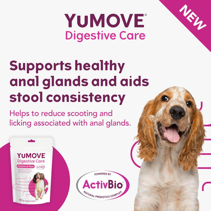 YuMOVE Digestive Care, Dog Pre and Probiotics Supplement for Gut Health, Digestive Support for All Ages and Breeds, 120 Tablets - Eco Friendly and Letter Box Ready Packaging - Sayby’s