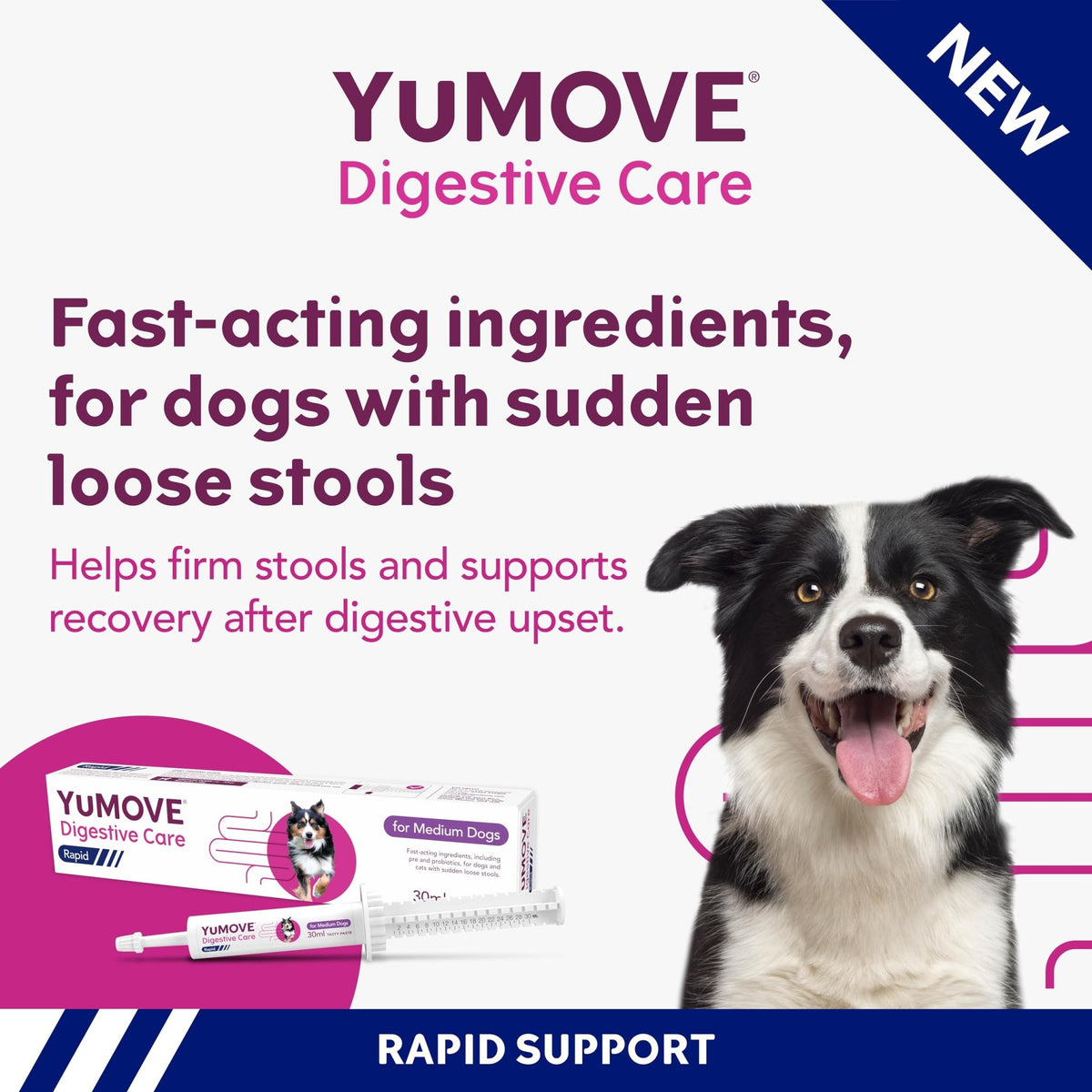 YuMOVE Digestive Care Rapid, Dog Pre and Probiotic Paste for Gut Health, Digestive Supplements with Fast-Acting Ingredients for Medium Dogs, 30ml - Sayby’s