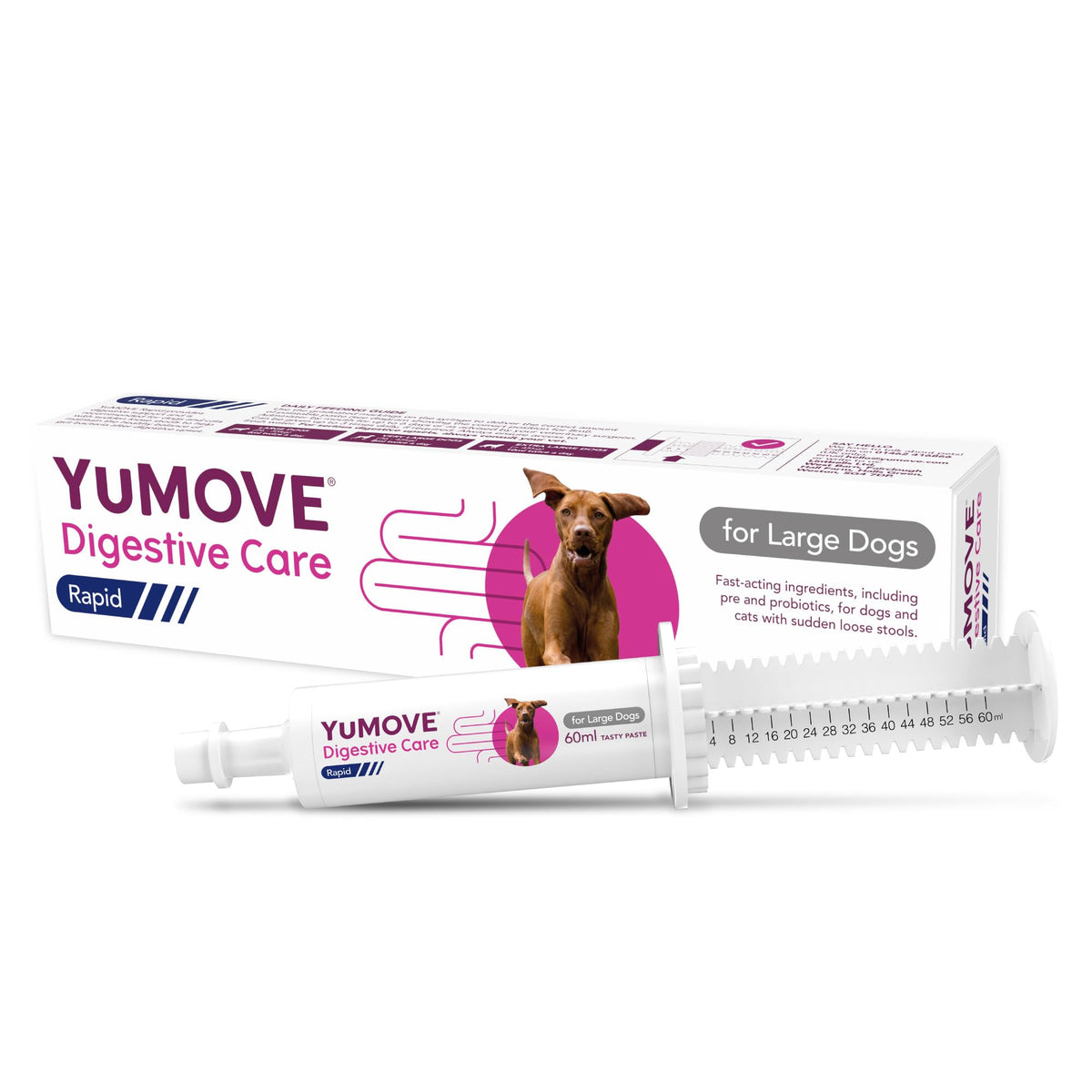 YuMOVE Digestive Care Rapid, Dog Pre and Probiotic Paste for Gut Health, Digestive Supplements with Fast-Acting Ingredients for Medium Dogs, 30ml - Sayby’s