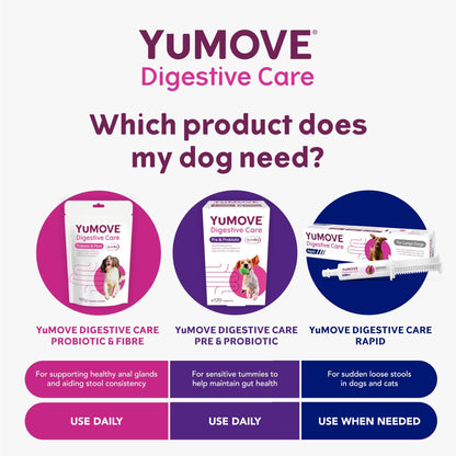 YuMOVE Digestive Care Rapid, Dog Pre and Probiotic Paste for Gut Health, Digestive Supplements with Fast-Acting Ingredients for Medium Dogs, 30ml - Sayby’s