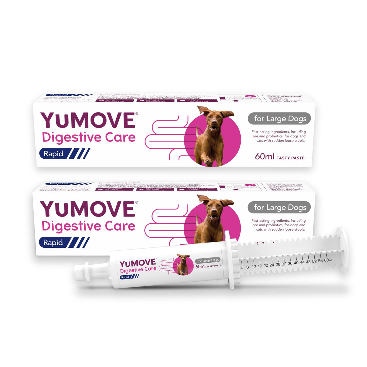 YuMOVE Digestive Care Rapid, Dog Pre and Probiotic Paste for Gut Health, Digestive Supplements with Fast-Acting Ingredients for Medium Dogs, 30ml - Sayby’s