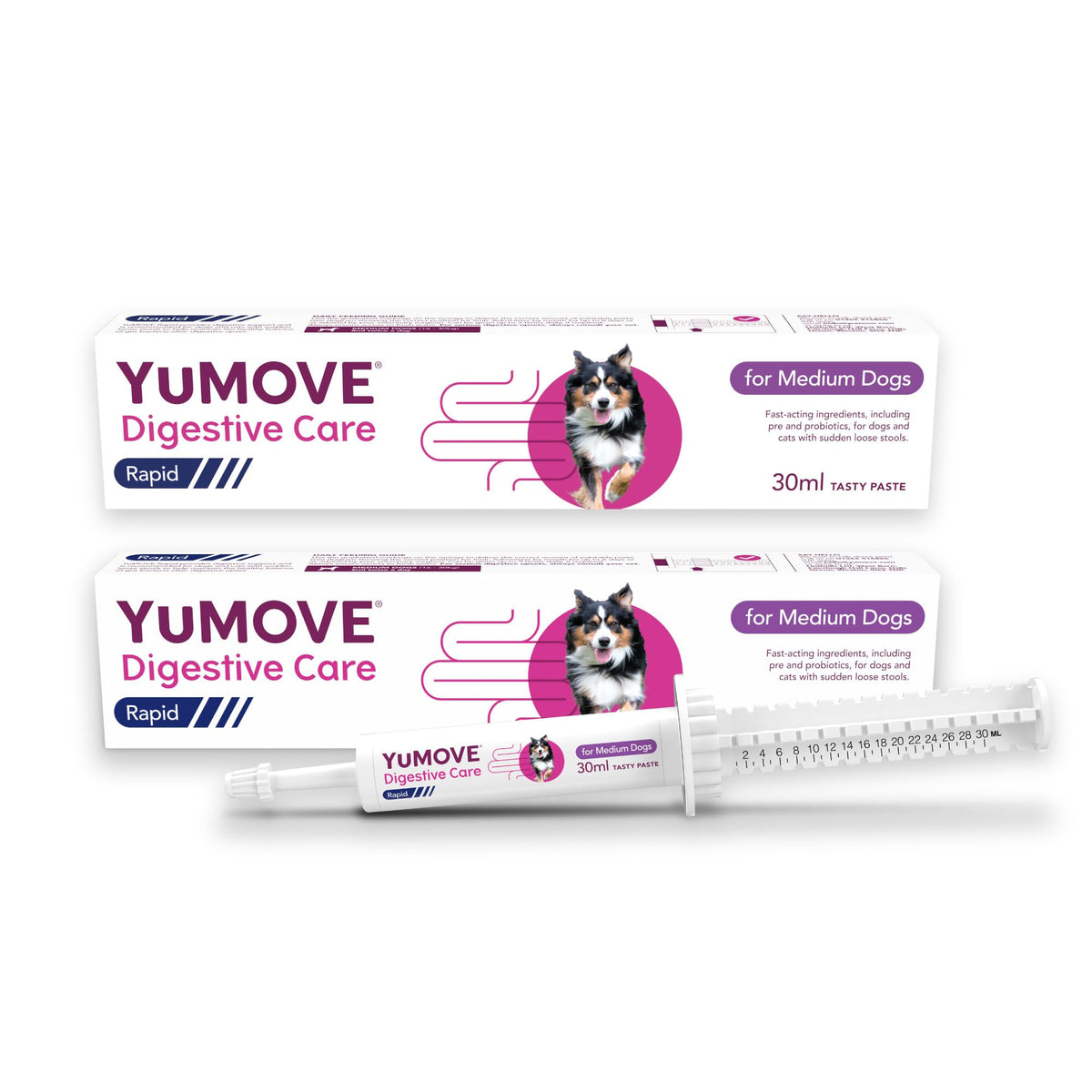 YuMOVE Digestive Care Rapid, Dog Pre and Probiotic Paste for Gut Health, Digestive Supplements with Fast-Acting Ingredients for Medium Dogs, 30ml - Sayby’s