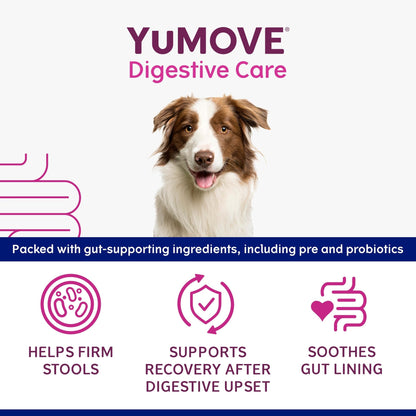 YuMOVE Digestive Care Rapid, Dog Pre and Probiotic Paste for Gut Health, Digestive Supplements with Fast-Acting Ingredients for Medium Dogs, 30ml - Sayby’s