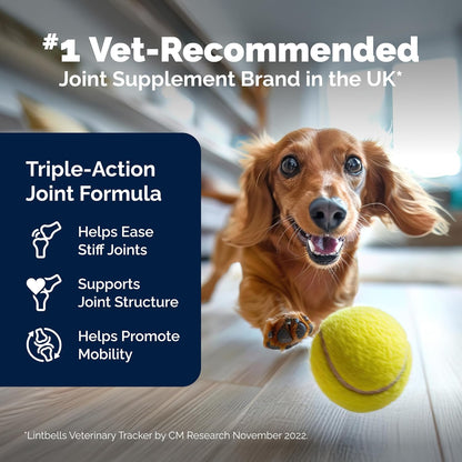 YuMOVE Joint Supplement for Dogs, Essential Dog Hip and Joint Support for Adult Dogs with Glucosamine, Chondroitin, Green Lipped Mussel, Aged 6 to 8, 120 Tablets - Sayby’s