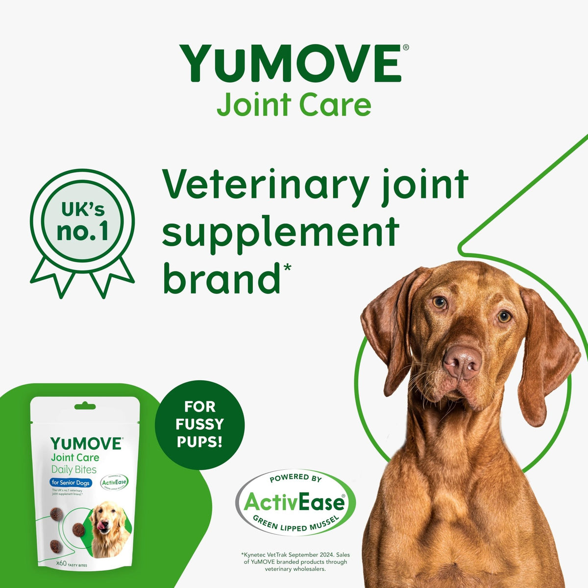 YuMOVE Max Strength Joint Supplement for Senior Dogs, Essential Dog Hip and Joint Aid for Senior Dogs with Glucosamine, Chondroitin, Green Lipped Mussel, Aged 8+, 60 Chews - Sayby’s