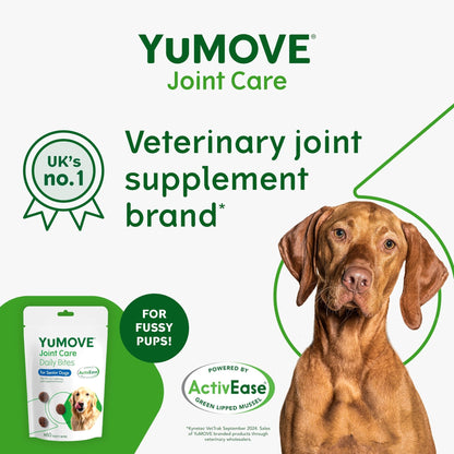 YuMOVE Max Strength Joint Supplement for Senior Dogs, Essential Dog Hip and Joint Aid for Senior Dogs with Glucosamine, Chondroitin, Green Lipped Mussel, Aged 8+, 60 Chews - Sayby’s