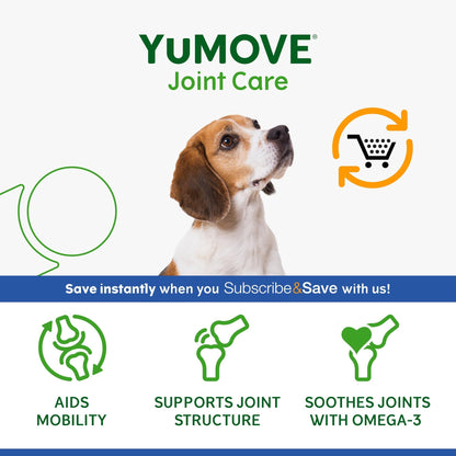 YuMOVE Max Strength Joint Supplement for Senior Dogs, Essential Dog Hip and Joint Aid for Senior Dogs with Glucosamine, Chondroitin, Green Lipped Mussel, Aged 8+, 60 Chews - Sayby’s