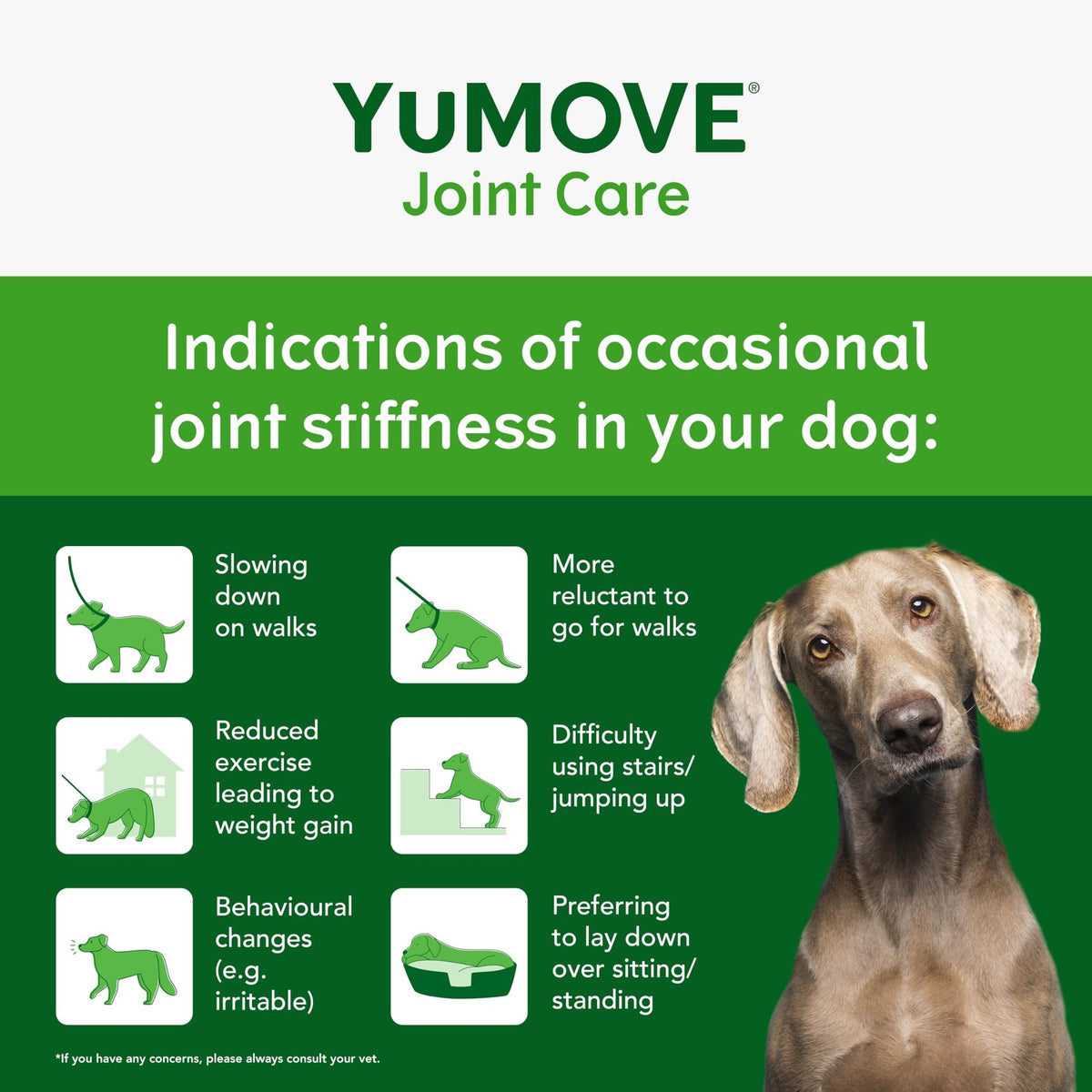 YuMOVE Max Strength Joint Supplement for Senior Dogs, Essential Dog Hip and Joint Aid for Senior Dogs with Glucosamine, Chondroitin, Green Lipped Mussel, Aged 8+, 60 Chews - Sayby’s