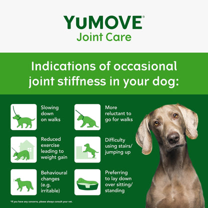 YuMOVE Max Strength Joint Supplement for Senior Dogs, Essential Dog Hip and Joint Aid for Senior Dogs with Glucosamine, Chondroitin, Green Lipped Mussel, Aged 8+, 60 Chews - Sayby’s