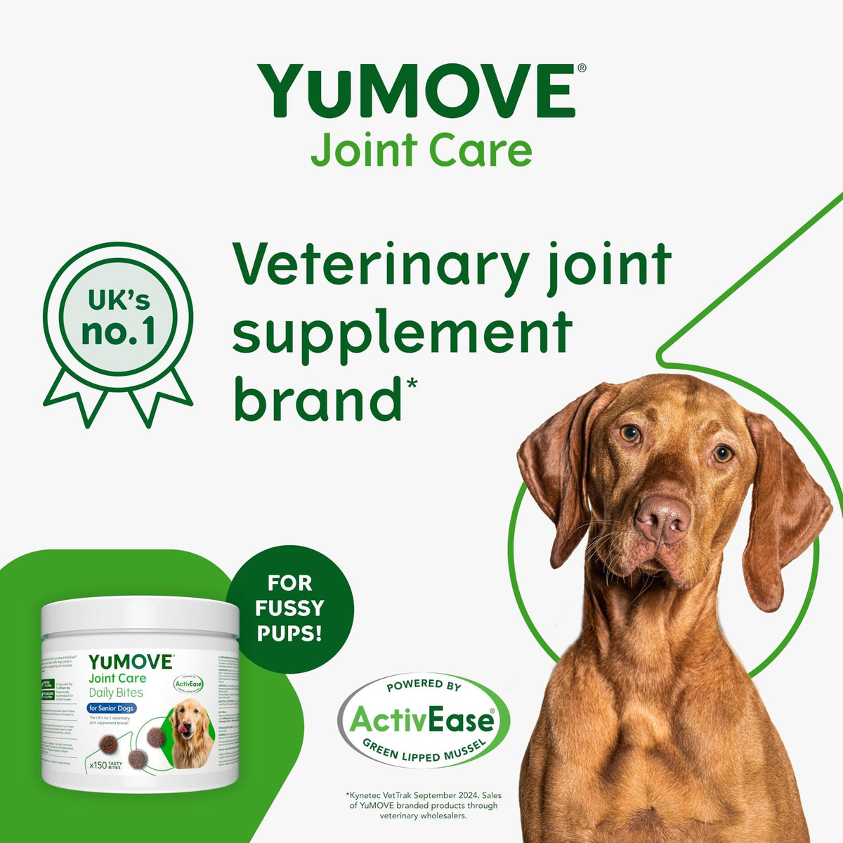 YuMOVE Max Strength Joint Supplement for Senior Dogs, Essential Dog Hip and Joint Aid for Senior Dogs with Glucosamine, Chondroitin, Green Lipped Mussel, Aged 8+, 60 Chews - Sayby’s